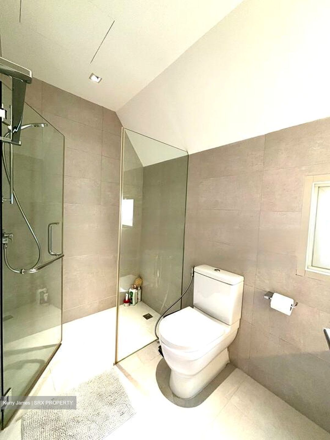 Tudor Ten (D11), Detached #496760091